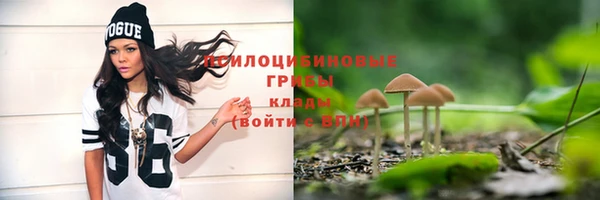 мяу мяу мука Баксан