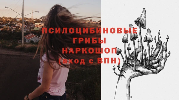 мяу мяу мука Баксан