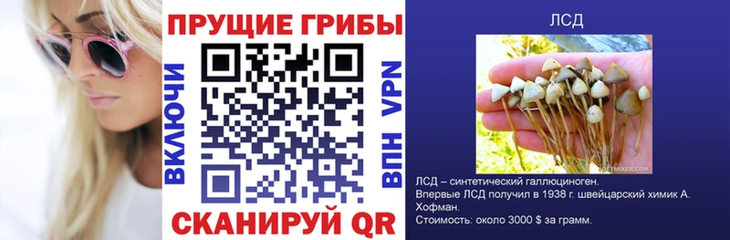 даркнет официальный сайт  ОМГ ОМГ ТОР  Усть-Джегута  Галлюциногенные грибы GOLDEN TEACHER 