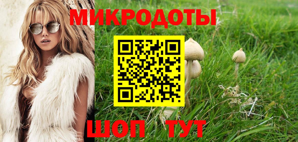 Псилоцибиновые грибы Magic Shrooms  Вход с VPN  Усть-Джегута 