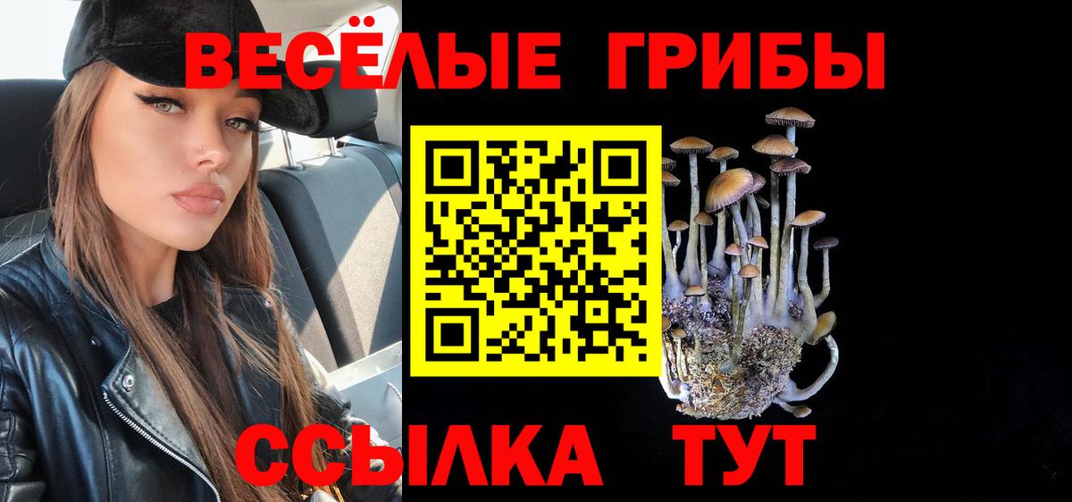 Псилоцибиновые грибы MAGIC MUSHROOMS Усть-Джегута